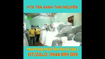 Chè Thái Nguyên - Uy tín SỐ 1 Tân Cương #shorts