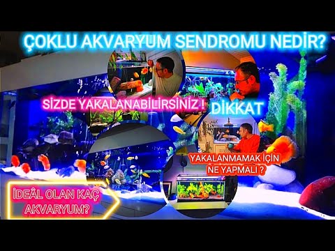 Video: Ürün İnceleme: Hidor Profesyonel Harici Kapak Filtresi