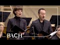 Miniature de la vidéo de la chanson Cantata, Bwv 23 "Du Wahrer Gott Und Davids Sohn": Ii. Recitative (Tenor) "Ach, Gehe Nicht Vorüber"