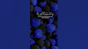 #قرآن #قران_كريم #تلاوة_خاشعة #المصحف #اكسبلور #duet