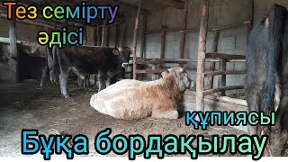 БҰҚА БОРДАҚЫЛАУ. ТЕЗ СЕМІРТУ ӘДІСІ.Ауылдағы ең пайдалы кәсіп