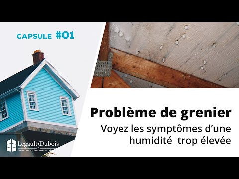 Vidéo: Comment éliminer La Condensation Dans Le Grenier : Pourquoi Elle Se Forme Et Ce Qu'il Faut Faire Pour S'en Débarrasser, Comment Fonctionne La Ventilation D'une Pièce Froide Et Chau