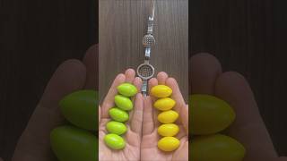 Green Yellow Olivary Gum