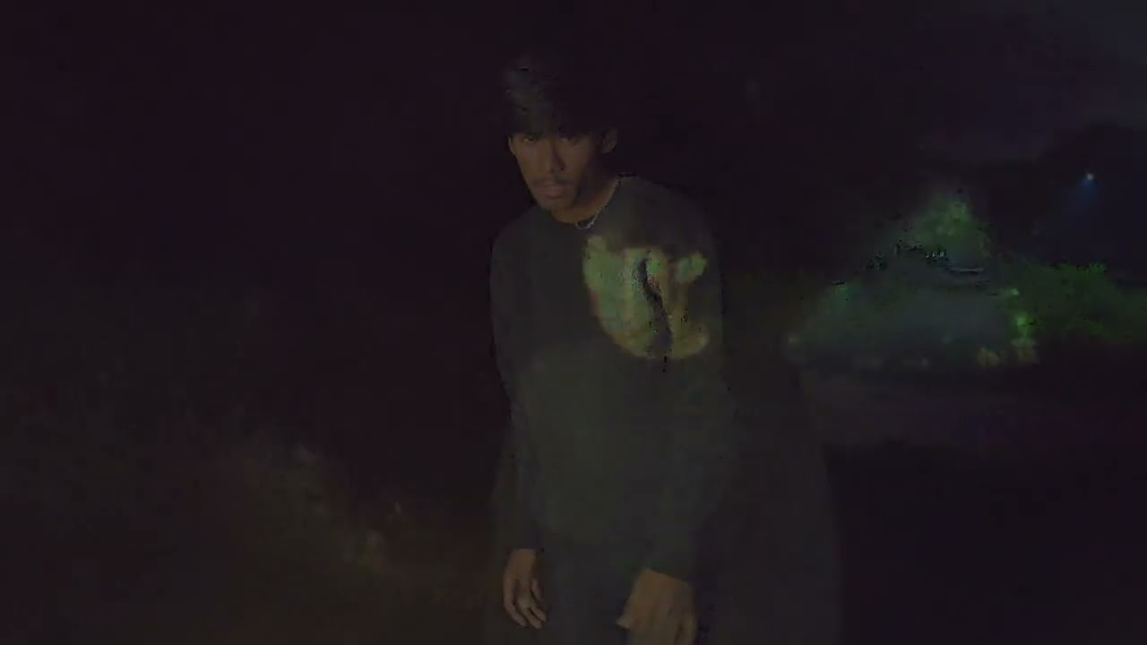 ADN - GuZi   (official video)