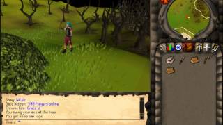 Goatc | 2006Scape Pre-Alpha footage | Part 1