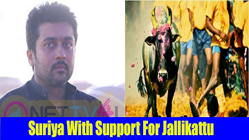 Suriya With Support For Jallikattu in Nadigar Sangam Campus - Ajith, Sathyaraj and Many celebs
