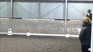 Ellie first double bridle test