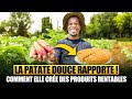 Voici comment une entreprise locale transforme la patate douce en produits de pâtisserie rentables