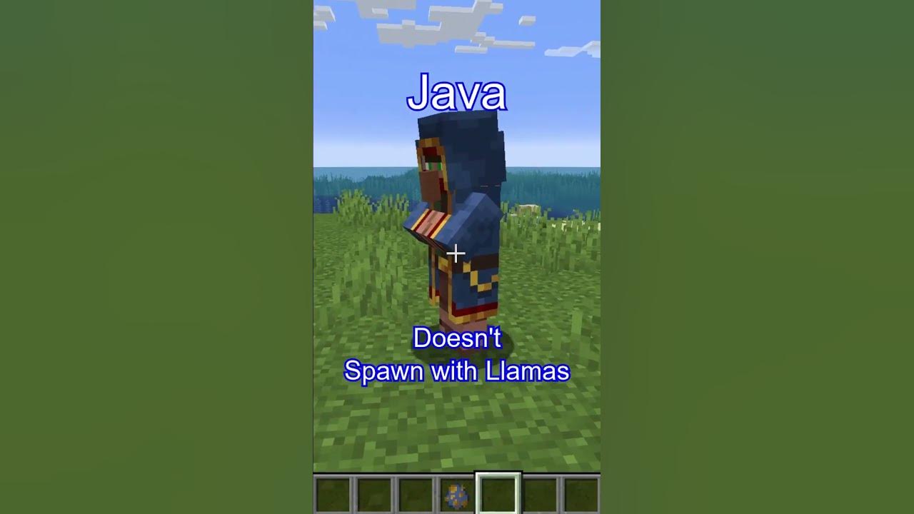 Did you know this difference between minecraft java and minecraft