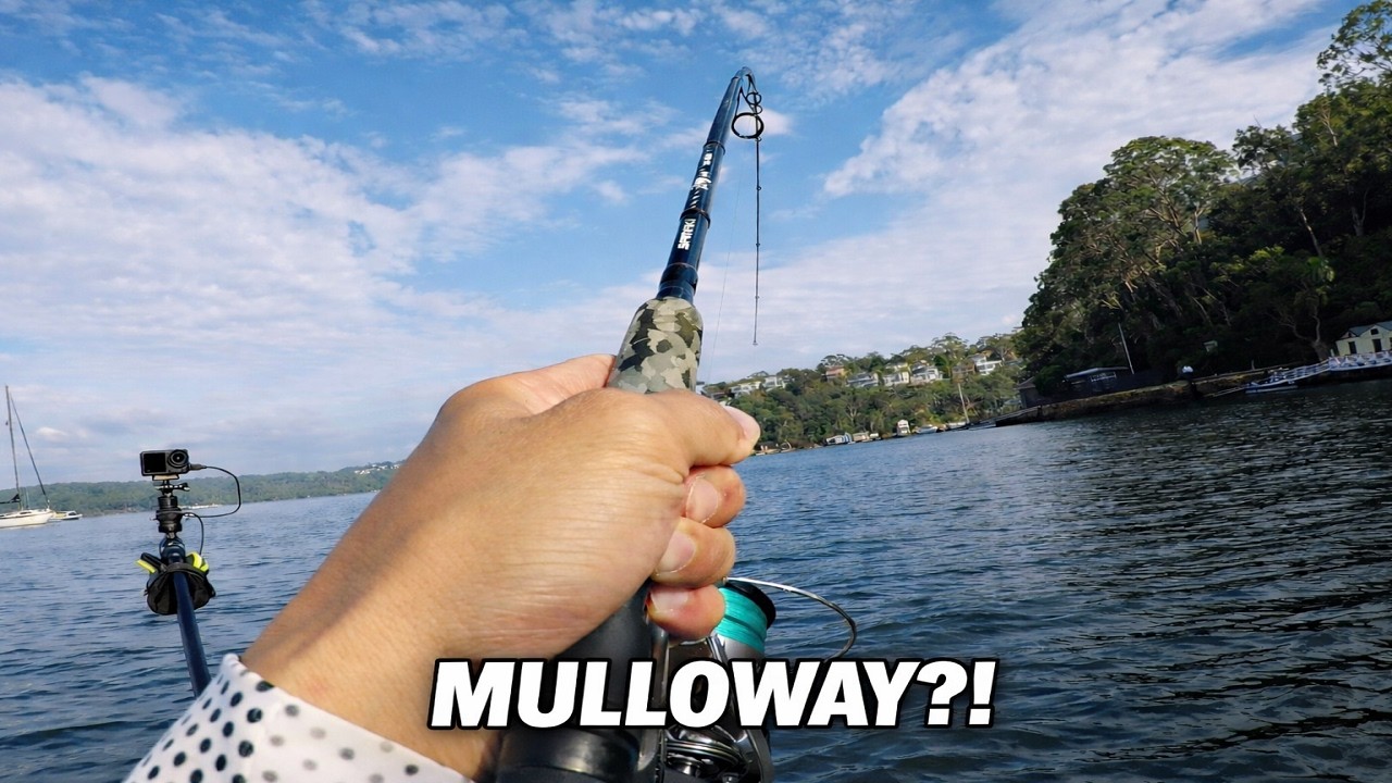Kayak Fishing Port Hacking - Mixed Bag… Was it a Mulloway?!
