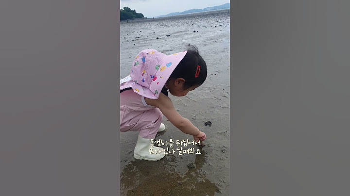 정짱구 강화도 갯벌에 가다 #아기 #강화 #육아 #육아브이로그 #갯벌체험 #동막해변