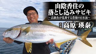#493 山陰香住の落とし込みサビキ～高級魚が乱舞する豊穣の日本海～