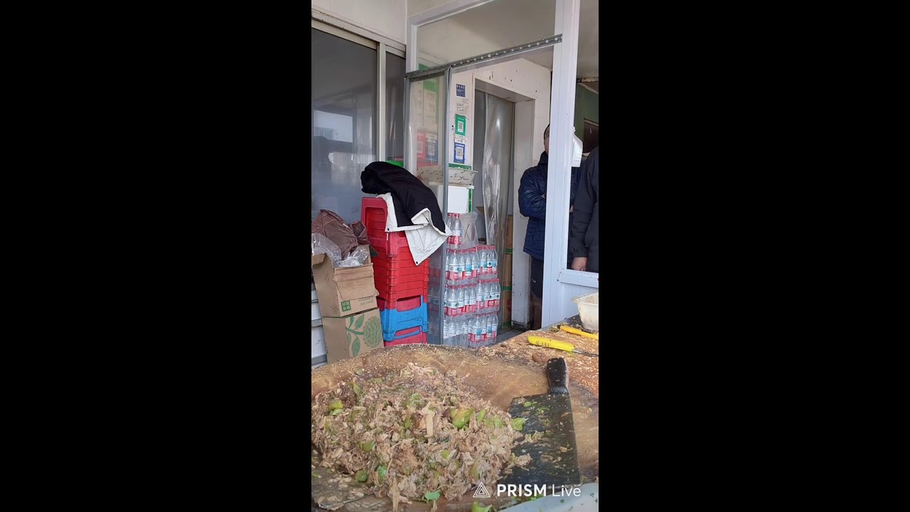 Live streaming of catching insect ❤️