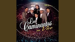 Video thumbnail of "Los Caminantes - Camino De Guanajuato (En Vivo)"