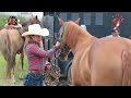 CARRERAS DE CABALLOS CARRIL BUENAVISTA ETLA OAXACA 17 JULIO