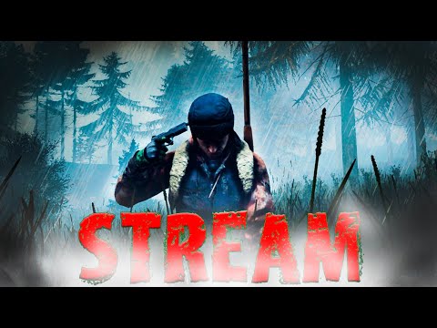 Видео: DayZ | Я на пару часиков! А как дела у вас?😎