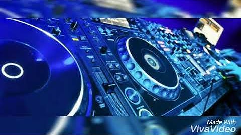 Loreto House - Fetching Felicity