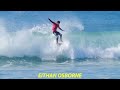 Kitten vs. Cub | Surfing