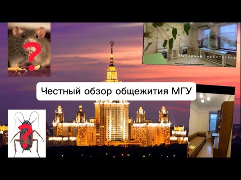 Честный обзор общежития МГУ | мнение студентов МГУ об общаге | мысли и выселение выпускницы МГУ