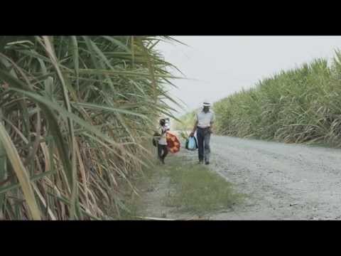 Trailer LA TIERRA Y LA SOMBRA dir César Augusto Acevedo (w. Eng. subtitles)