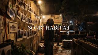 Sonic Habitat — Echo Yard