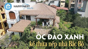 Nghỉ dưỡng tại gia trong "Ốc Đảo Xanh" giữa phố thị