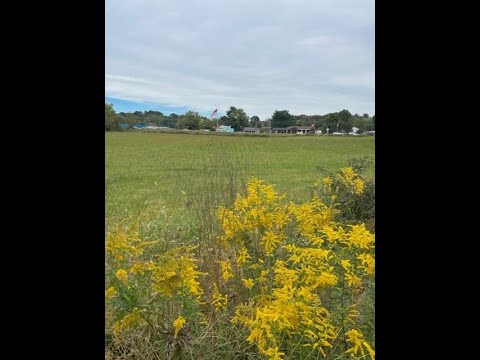 200 Hawkins Avenue, Church Hill, TN home video tour