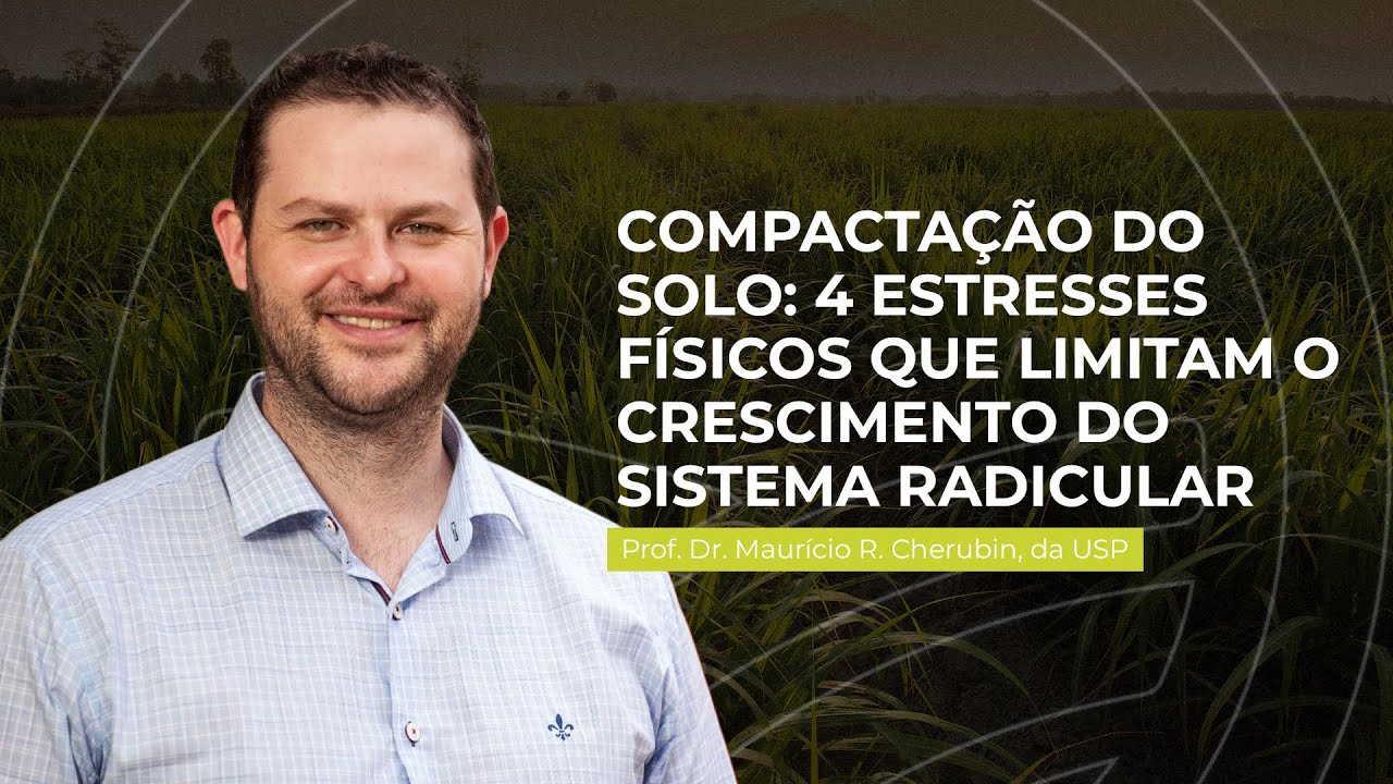 4 Estresses físicos que limitam o crescimento do sistema radicular - Prof. Maurício R. Cherubin