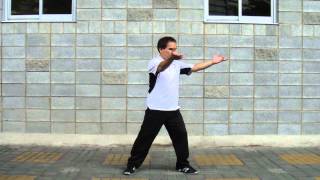 2-4 黃老師示範 攬扎衣1 接六封四閉 0515 2015