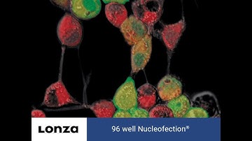How it Works - 96-well Shuttle™ System