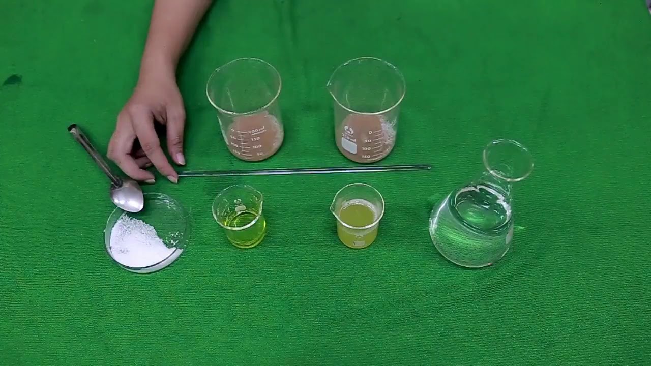 Thí nghiệm tách chiết DNA gan heo