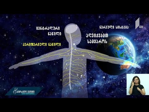 ნერვის დაზიანების ამოსაცნობად და თავიდან ასაცილებლად