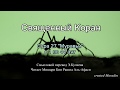 Сура 27 Ан Намль Муравьи с 1 по 44 аят 
