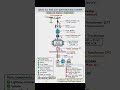 33/11 kV Substation Working Explained! ⚡ #ElectricalSubstation #PowerGrid #DistributionSystem