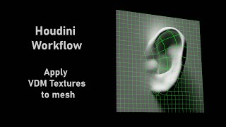 Houdini Workflow Apply VDM Textures to mesh
