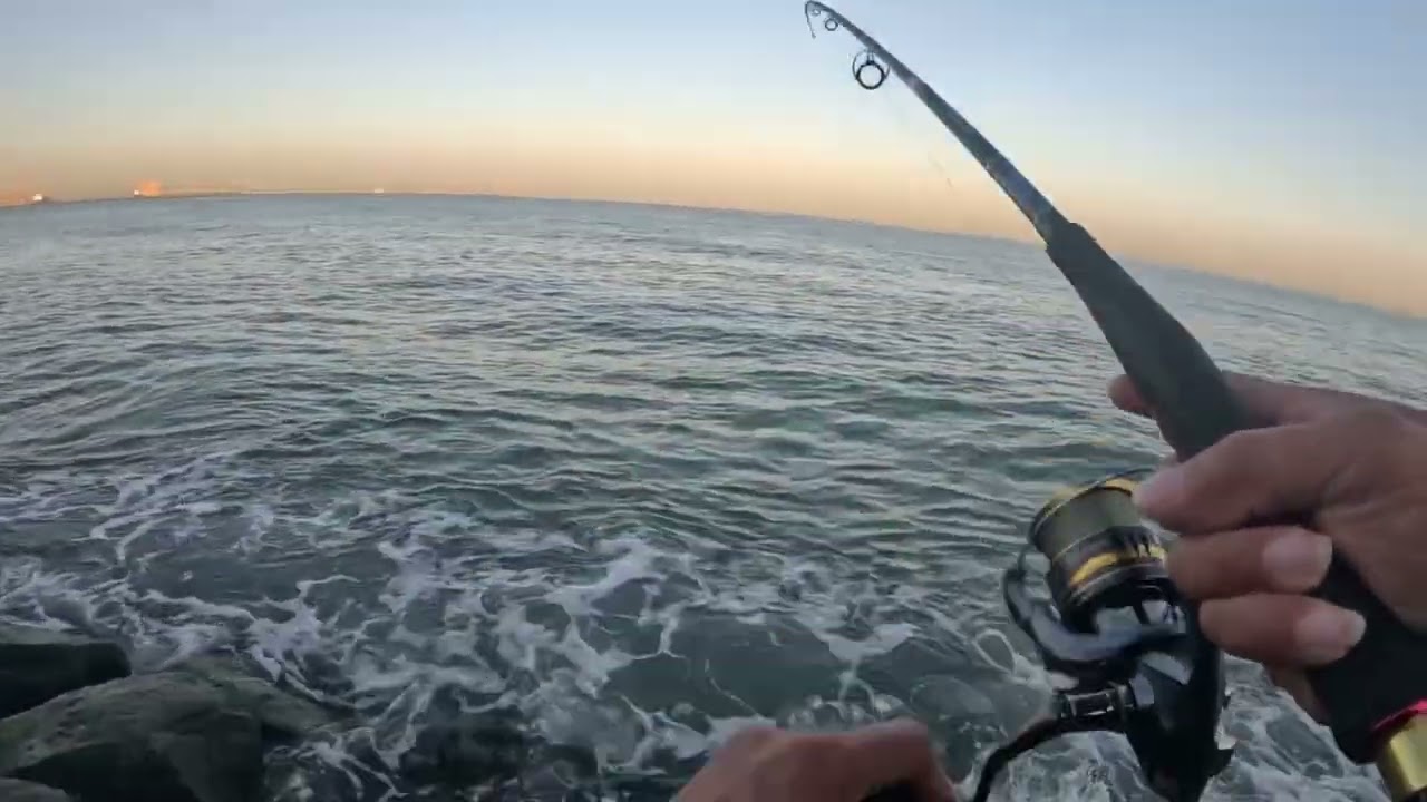 Kingfish catch with redhead lure🇦🇪👍 