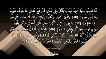 سورة البقرة للقارئ ياسر الدوسري الصفحة رقم(7)
