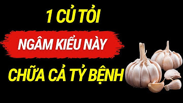 Chuyện Gì Xảy Ra Khi Ngâm Tỏi + Mật Ong? Thần Dược Từ Căn Bếp Của Bạn - 99% KHÔNG BIẾT