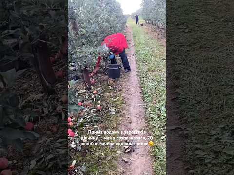 Привіз додому з заробітків дівчину мама розплакалася 20 років не бачила однокласницю польща