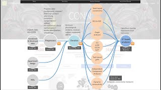 CONN-fMRI 静息态数据处理5：降噪和数据质量检查 Denoising & QA Check