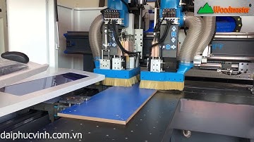 MÁY KHOAN CNC 6 MẶT 2 TRỤC KÉP SIÊU NHANH HOLZTEK