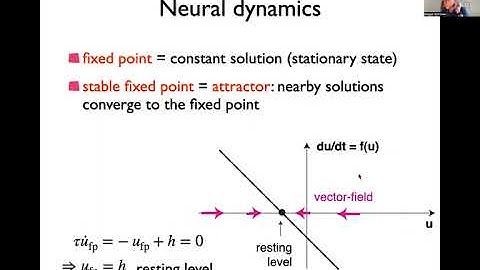 DFT 1 Embodied cognition