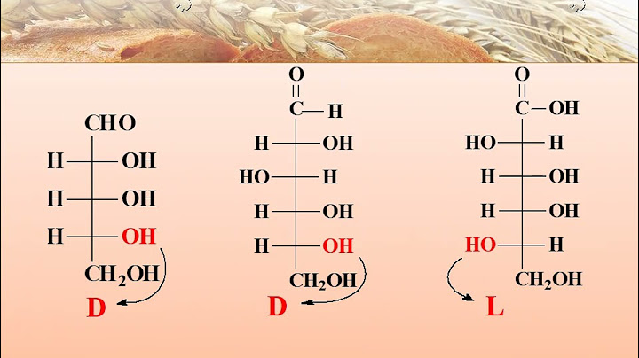 Môn học hóa sinh thực phẩm tiếng anh là gì