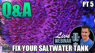 Q&A Session - Fix Your Problem Saltwater Tank