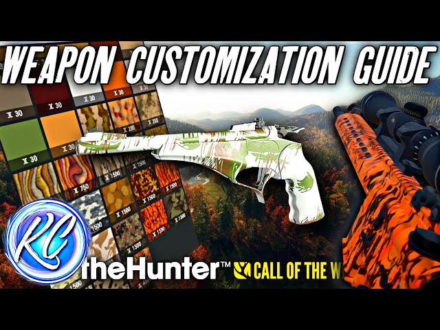 IN-DEPTH LOOK* at Weapon Customization! Let's Customize Some