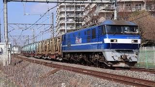 桃太郎EF210-118コキ200形+タキ4074レ・2026/2/18