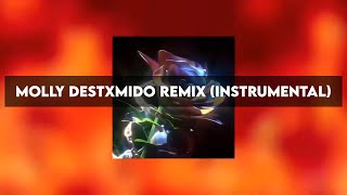 Playboi Carti - Molly (Destxmido Remix Instrumental) Resimi
