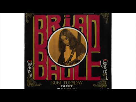 Brian Baule - Little Red Rooster (mono, 1987)