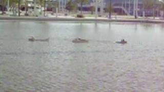 Tug Multi-Towing By Mike