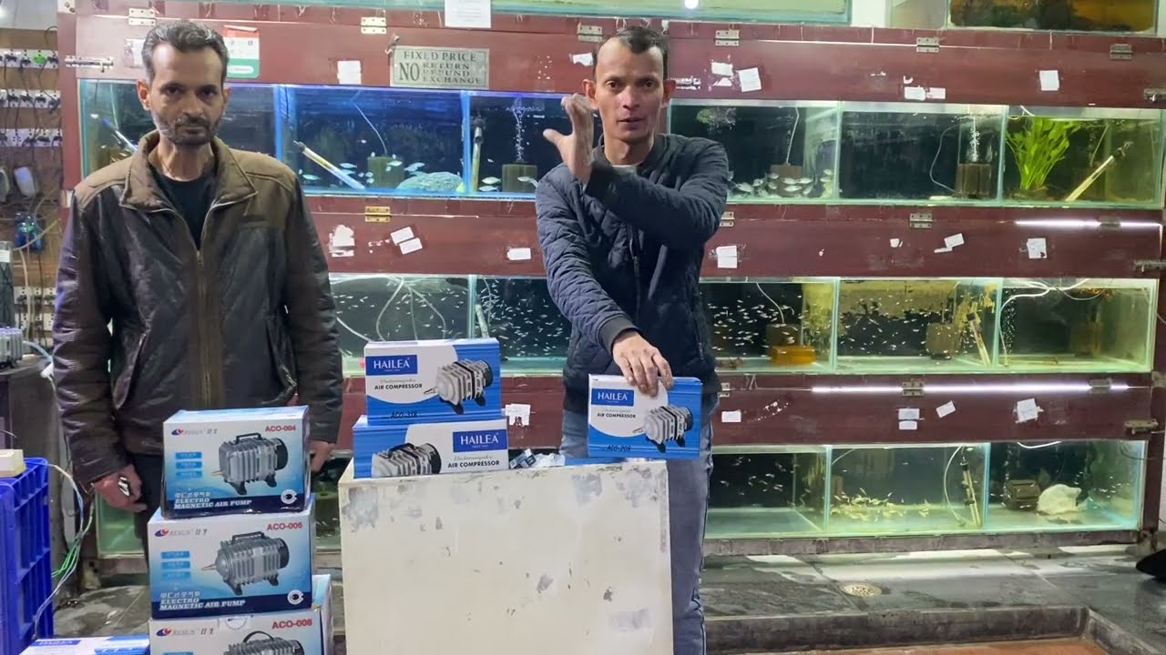 Aquarium Big Air Compressor Fish Aquarium Home Laxmi Nagar Delhi